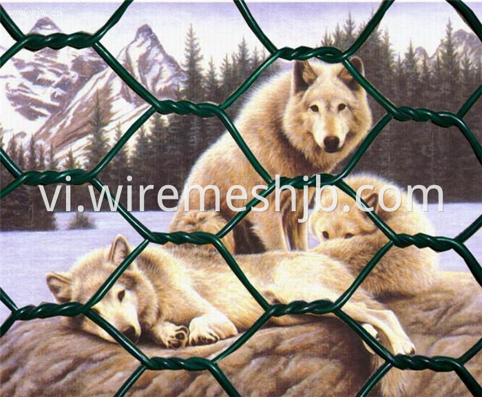 1/2'' Hexagonal Wire Netting